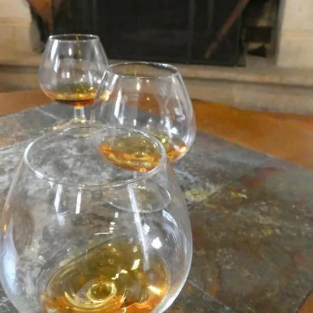 Gite Labastide-D'Armagnac, 5 Pieces, 8 Personnes - Fr-1-360-704 Feriehus Labastide-dʼArmagnac